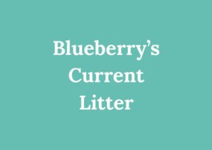 Graphic with the words ‘Blueberry's Current Litter’ used for deposit payment processing.