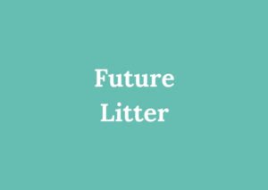 Graphic with the words ‘Future Litter’ used for deposit payment processing.