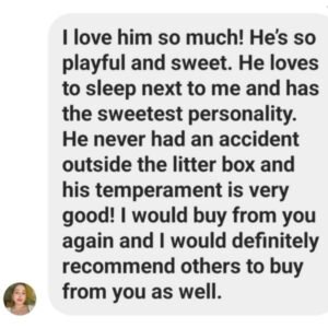 Ragdoll Ranch Texas - testimonial