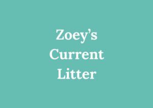 Deposit: Zoey's Current Litter (US only)